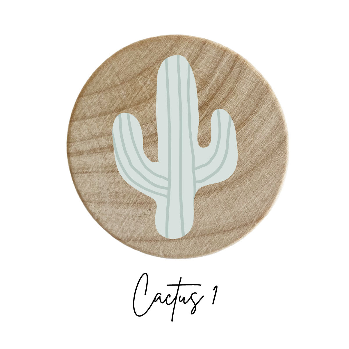 10 Pcs 6" CHOLLA Wood Cactus | Organic | Shrimp Fish Aquarium - Foto 4